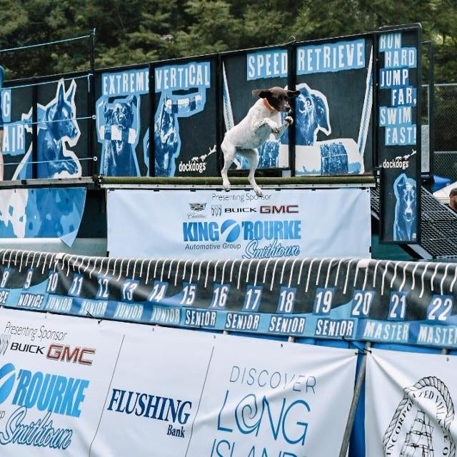 King O'Rourke Buick GMC in Smithtown NY