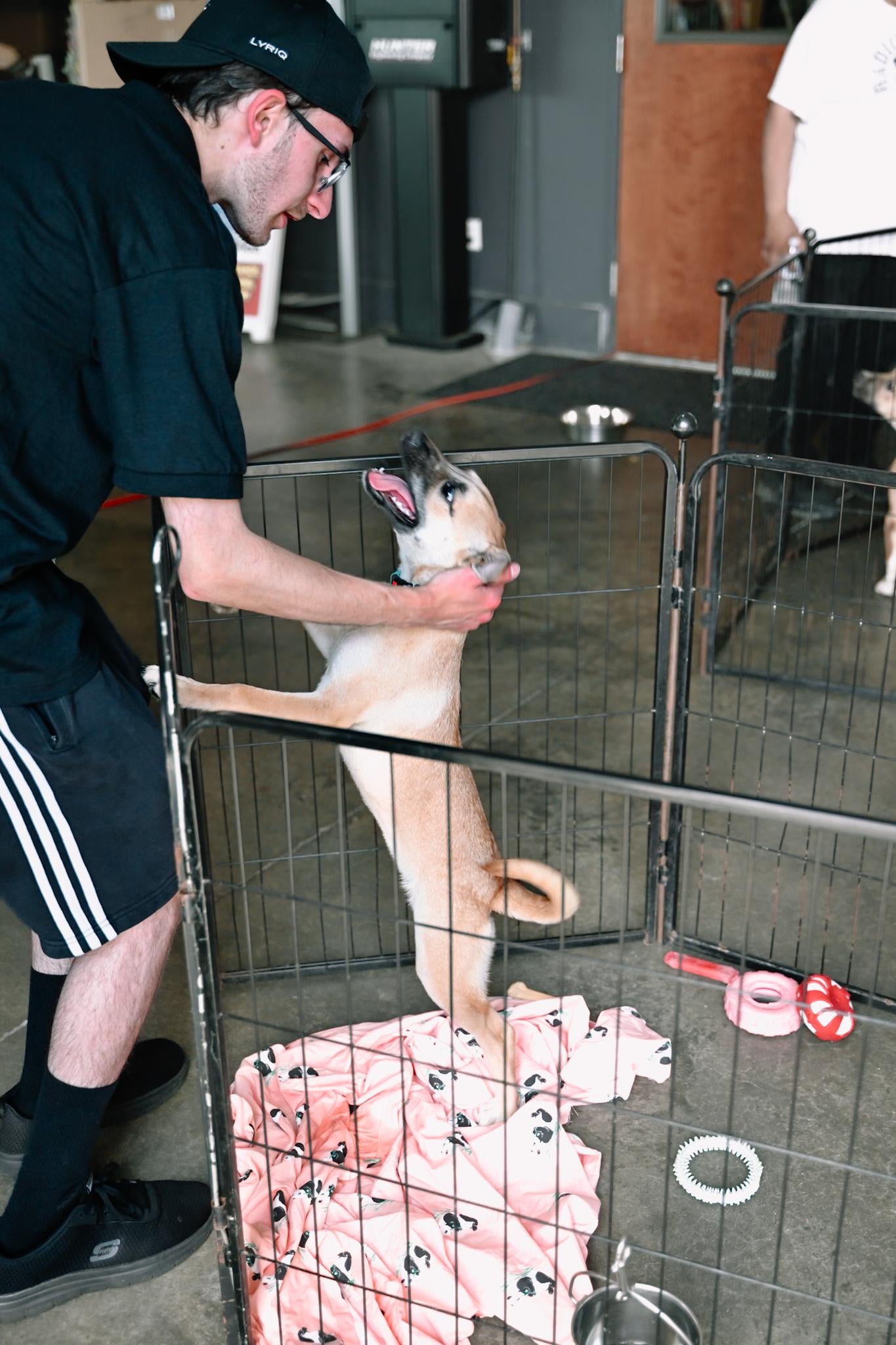 King O'Rourke Buick GMC